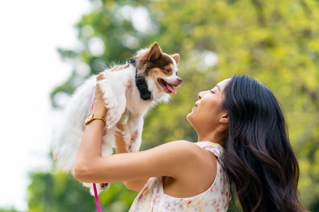 Happy Pet
