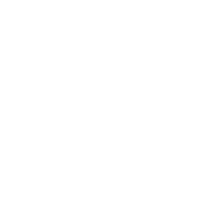 Team icon
