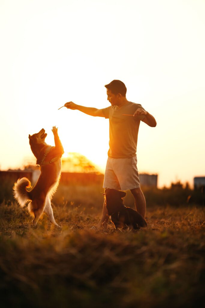 Veterinary Care For Your Loved Ones
